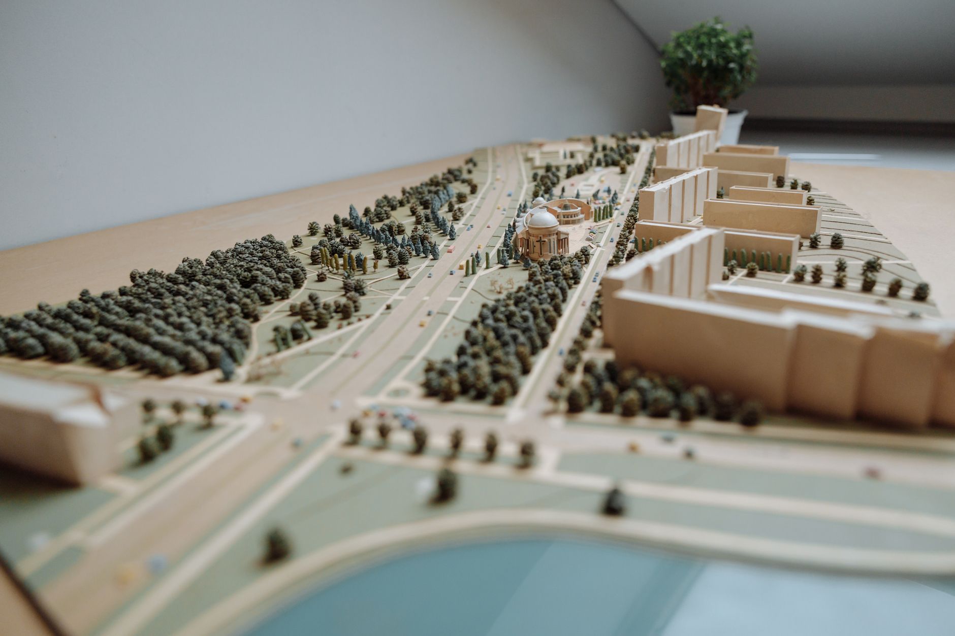 Najlepsze projekty domów parterowych – jak wybrać rzut dopasowany do działki i budżetu - zdjecie w tresci